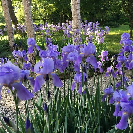 B&B Maison Parco Del Brenta Curtarolo Eksteriør bilde