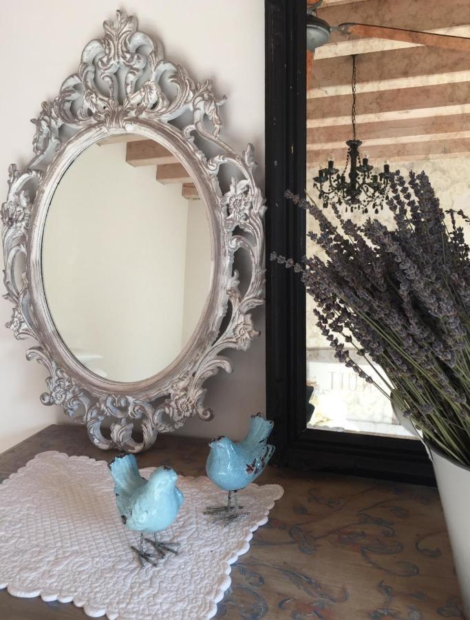 B&B Maison Parco Del Brenta Curtarolo Eksteriør bilde